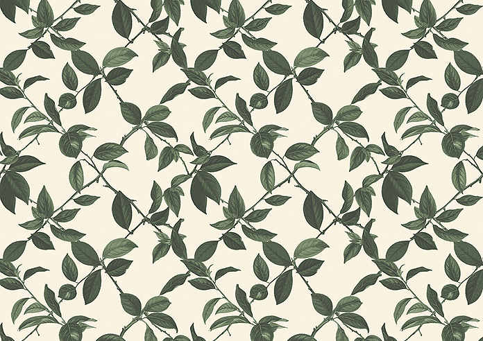 Plum Line, Coriscon - Roller Blind - Image 6